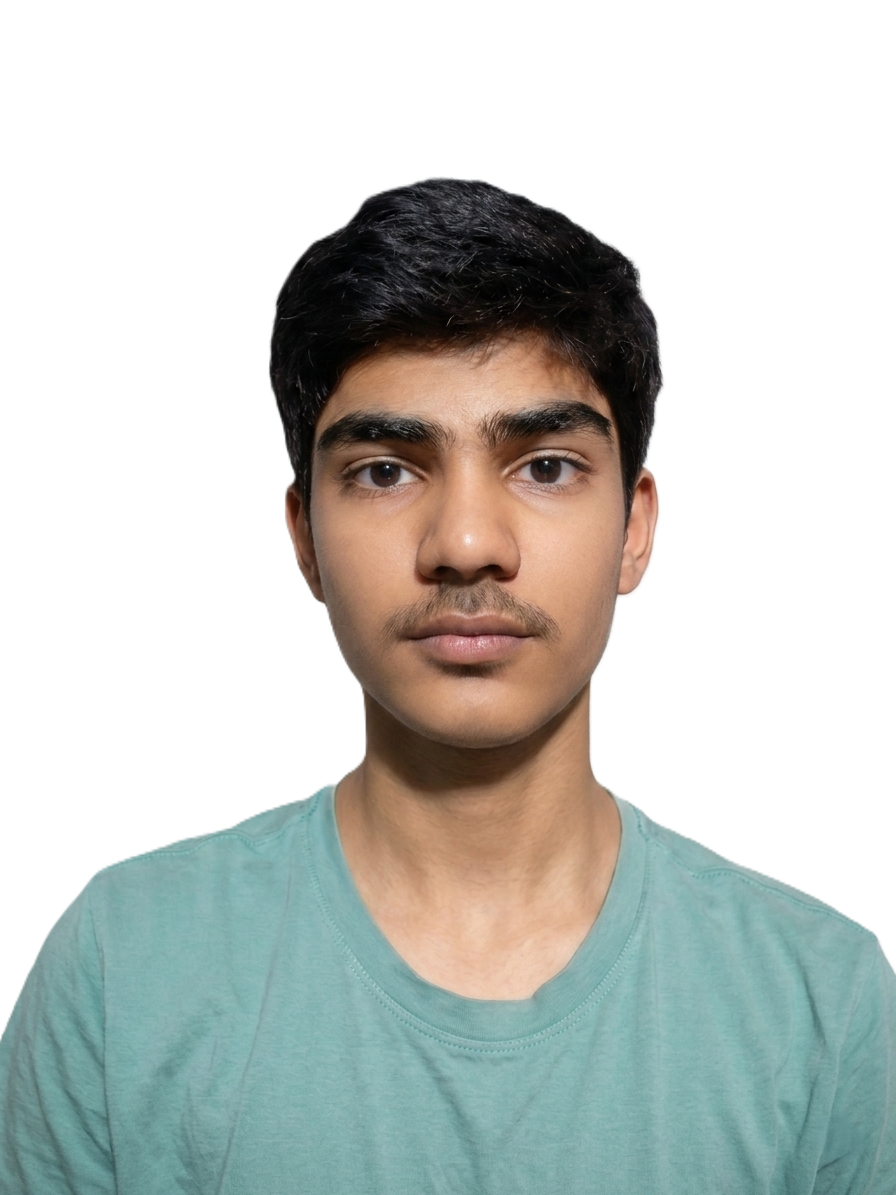 Codenestix web developer and designer working on a project