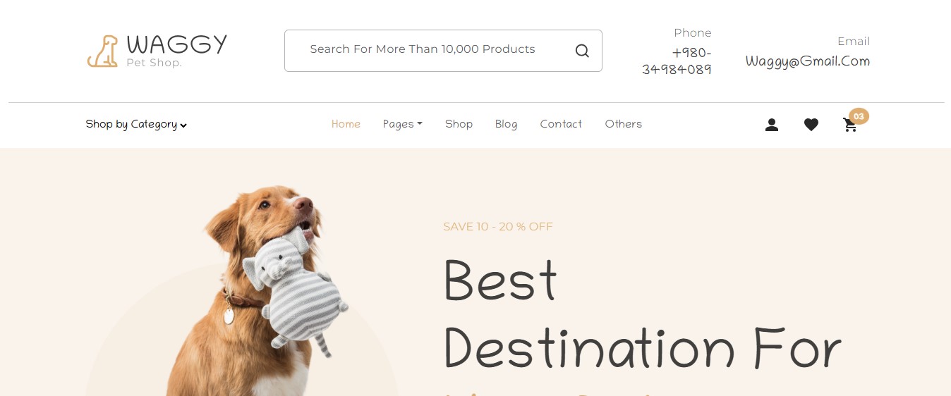 Web design project by Codenestix